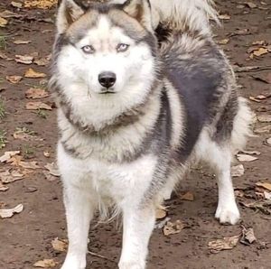 Meet your Posher, Gerald